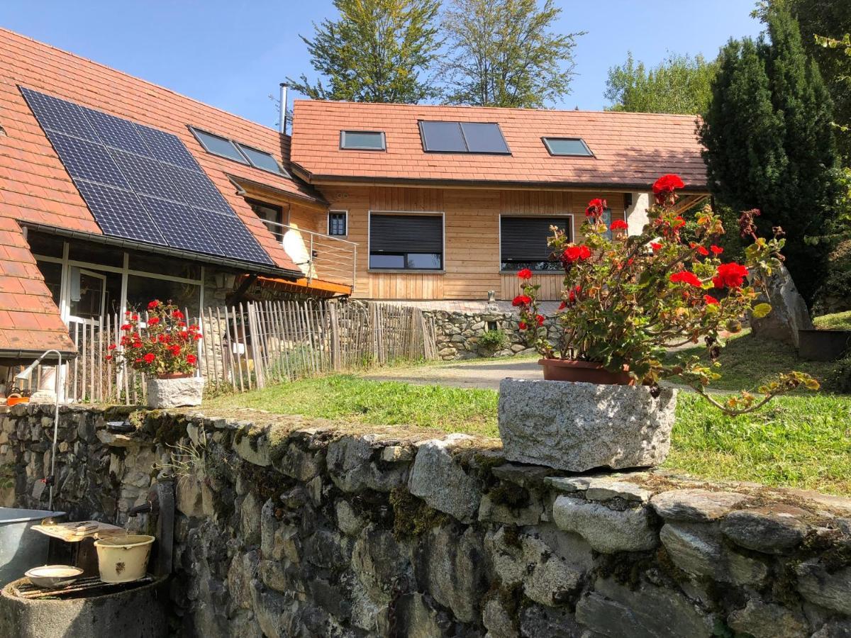 La Maison De Jean Les Adrets Exteriér fotografie
